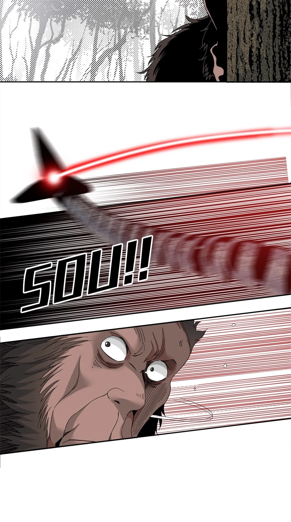 81907830 940 1684 315798